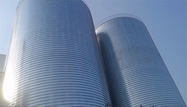 前锋2座混凝土高架卷板仓